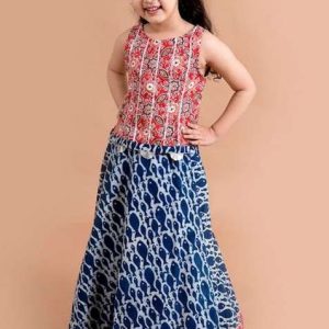 blue and red printed lehenga with blouse (set of 2)