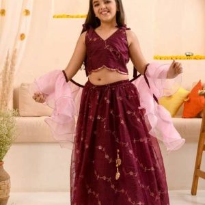 wine embellished lehenga with blouse with dupatta (set of 3)