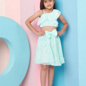 green embellished organza top with skirt (set of 2)