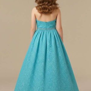 girls sky blue net embroidered gown