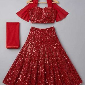 red net embroidered lehenga set for girls